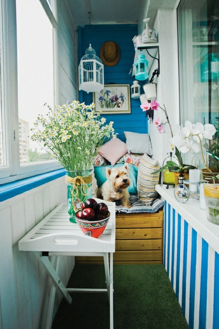tarrazas pequeñas, balcón en blanco y azul con césped artificial, sillón con cojines y perro, jarrón on flores