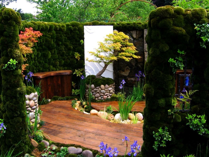 jardines modernos, pequeña plataforma con seto vivo y estrado de madera, pequeño alpineum en el medio, árboles de colores