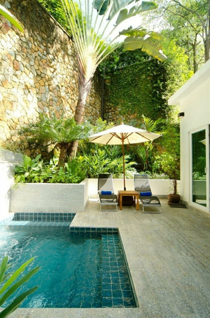 construccion de piscinas, patio con muro de piedra, palmera alta, piscina pequeña, somrilla con tumbonas