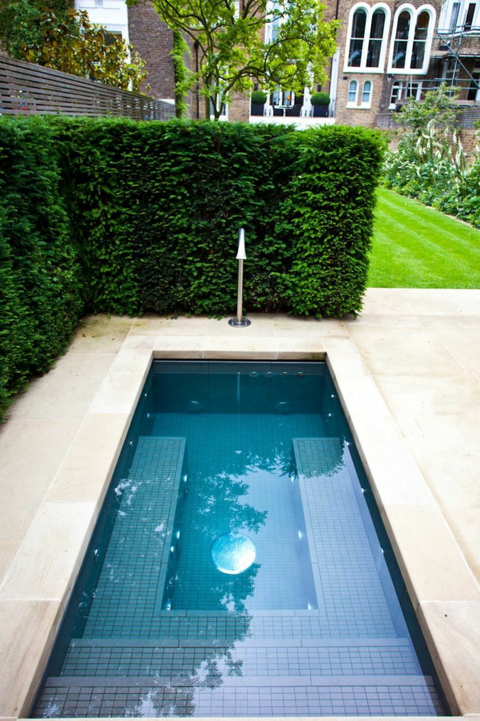 casas con piscina, patio con césped y seto vivo, piscina pequeña rectangular con escaleras integradas