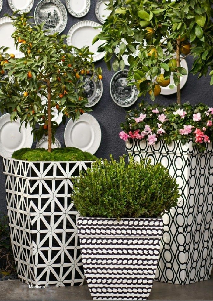 maceteros originales, decoración de patio con altas macetas en blanco y negro con figuras geométricas, plantas decorativas, pared con platos de porcelana