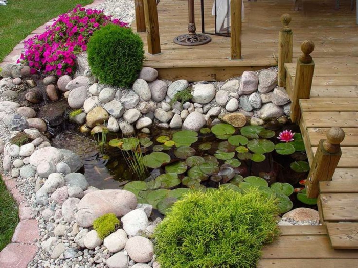 jardines pequeños, plantas acuáticas en un pequeño lago casero, flores bonitas color fucsia, puente de madera, arbustos chiquitos