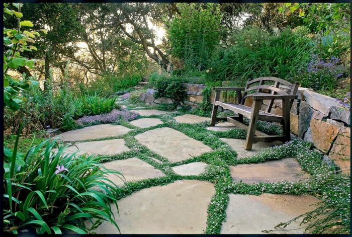 jardines con piedras, banco de madera viejo, jardín grande de diferentes tipos de arbustos
