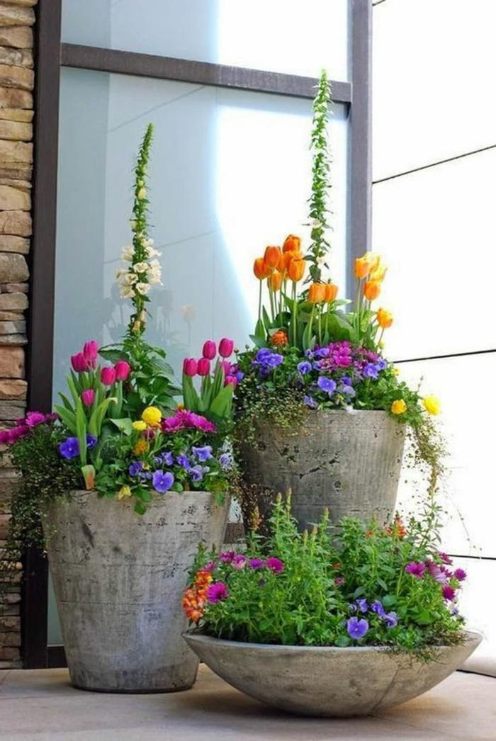 jardineras, decoración patio, maceteros grandes de piedra, combinaciób de petunias púrpura y tulipanes, plantas verdes
