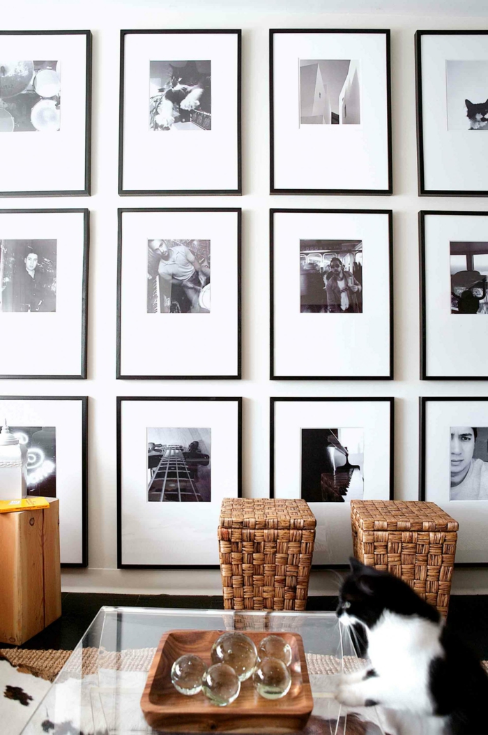 decorar con fotos, pared con muchas fotografías en blanco y negro con marcos delicados en negro, mesa de cristal con un gato
