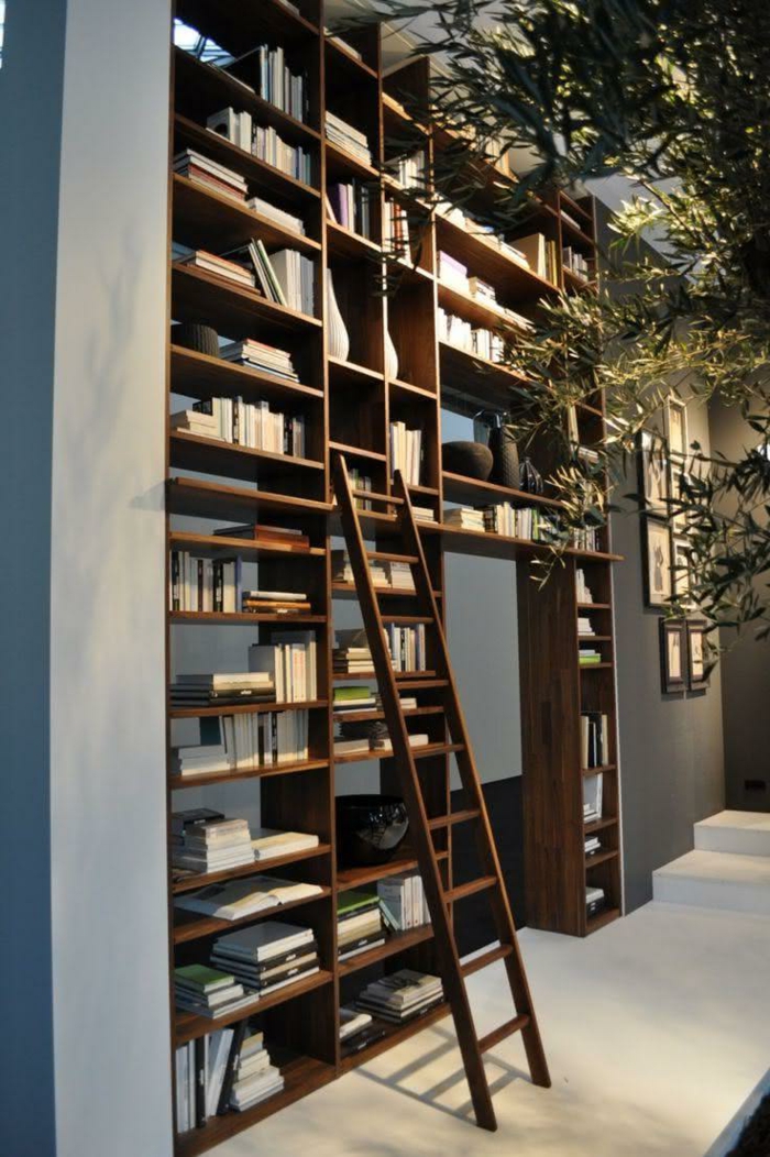 librería en un pasillo, árbol decorativo, estanterias originales, estantería de madera de suelo a techo con escalera de mano