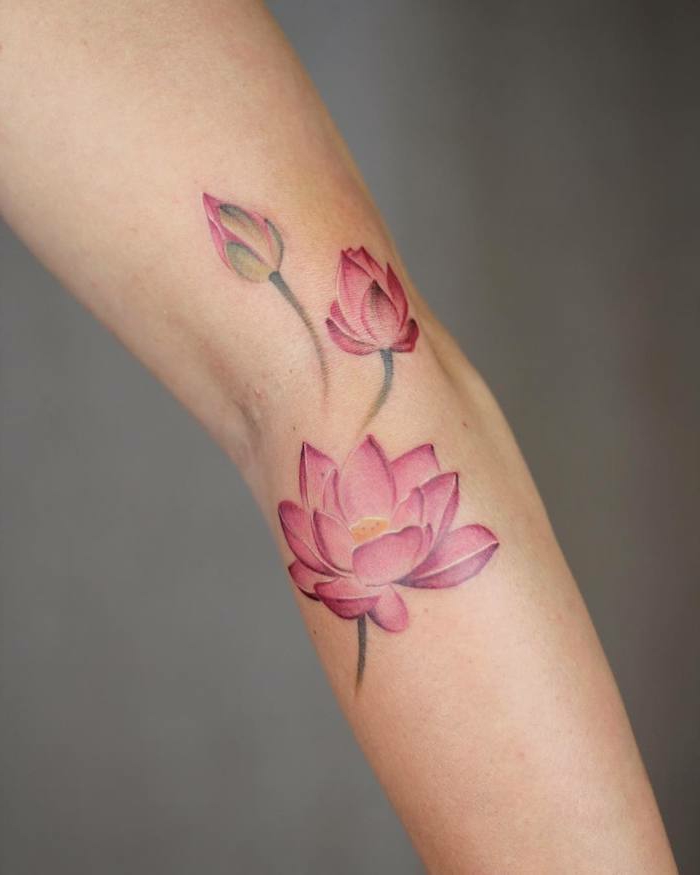 tatuaje flor de loto, tatuaje femenino en antebrazo, flor de loto rosado en diferentes fases, abierto, medio abierto y cerrado