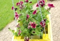 Increíbles ideas sobre maceteros y jardineras con palets hechos a mano