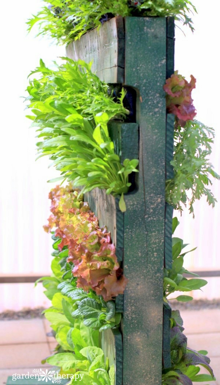 jardinera vertical con lechugas, ideas para decorar el jardín con maceteras DIY, como hacer maceteros de madera paso a paso 