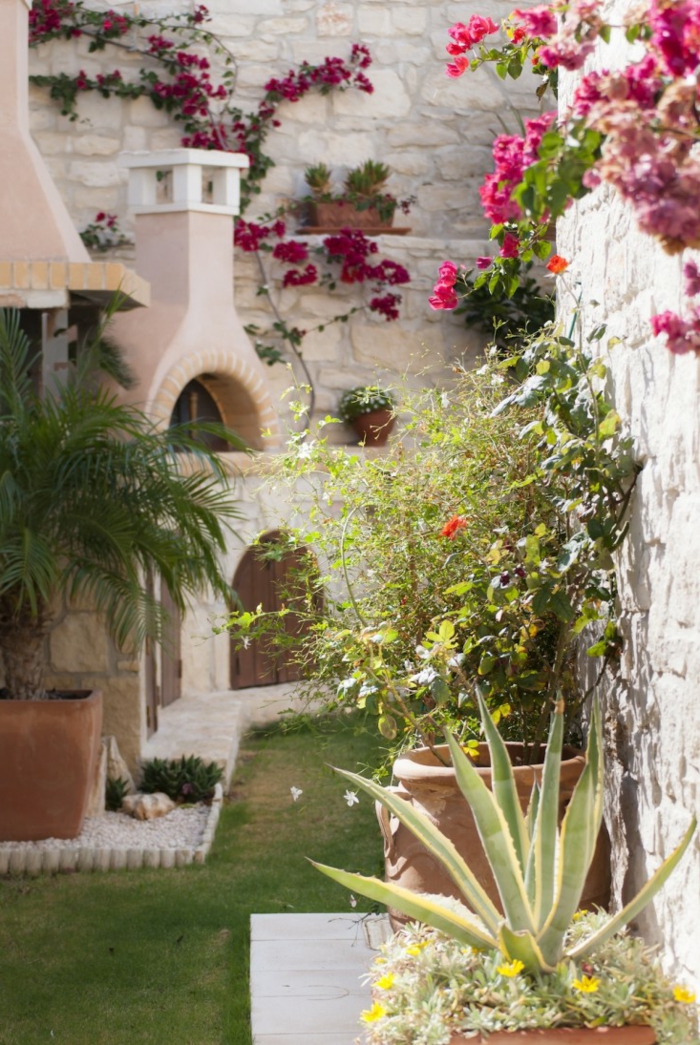 decoracion de jardines mediterráneos con paredes decoradas de plantas enredaderas 