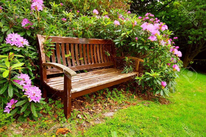 preciosas ideas para jardines pequeños, banco de madera y arbustos con flores, ideas de decoración jardín pequeño