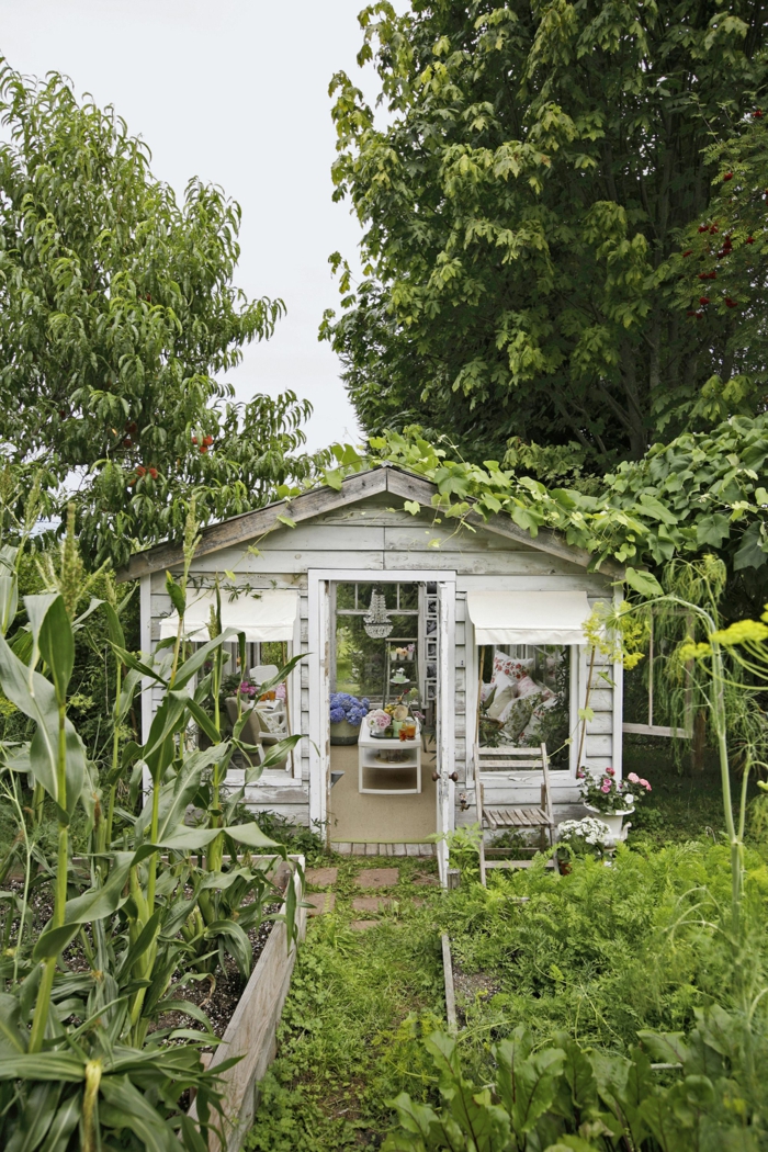 ideas para jardines pequeños decorados con encanto, pequeña casa, jardín con cultivo