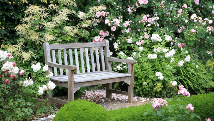 preciosas ideas para jardines pequeños, banco pequeño de madera y rosales de diferente color 