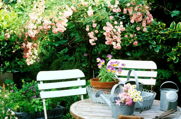 decoracion de jardines pequeños de encanto, muebles de madera, muchas macetas con plantas verdes 
