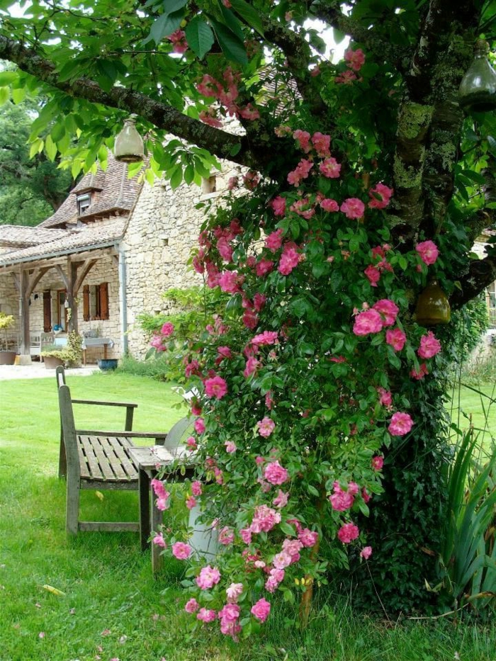 decoración de encanto con rosales, ideas y consejos sobre cómo organizar un jardín pequeño 