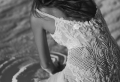 Vestidos de novia ibicencos para una boda bohemia y natural