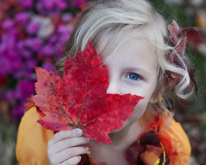 fotos de otoño gratis, niña rubia con pelo rizado con los ojos azules, hoja roja en la mano tapandose el ojo