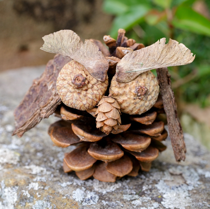Ideas originales de manualidades con piñas para decorar la casa en otoño