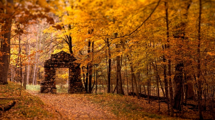 imagenes de otoño, suelo lleno de hojas de otoño de diferentes colores, y muro de piedras