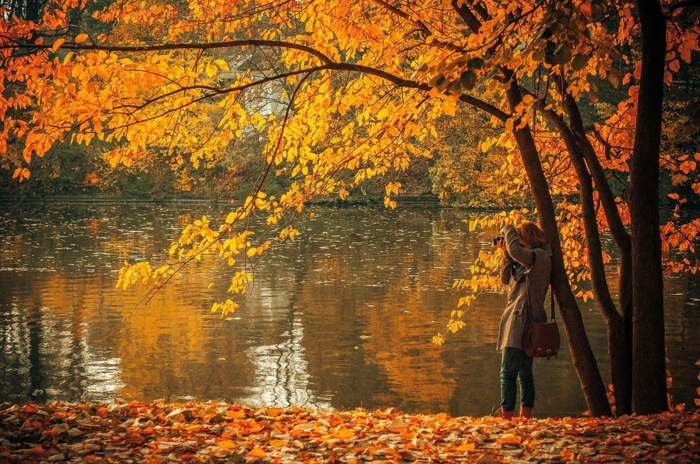 imagenes de paisajes naturales, el lago en el fondo con el arbol debajo de una chica haciendo una foto