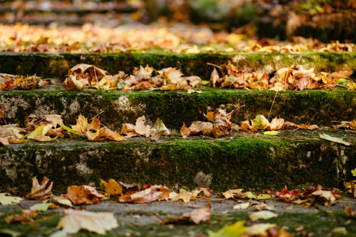 imagenes de paisajes naturales, escaleras llenas de hojas secas de otoño, bonita imagen