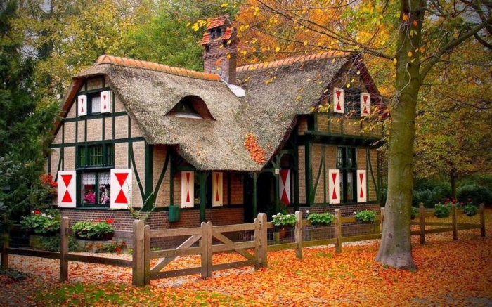 paisajes de otoño, casa en el bosque con ventanas y veranda de madera con el suelo lleno de hojas
