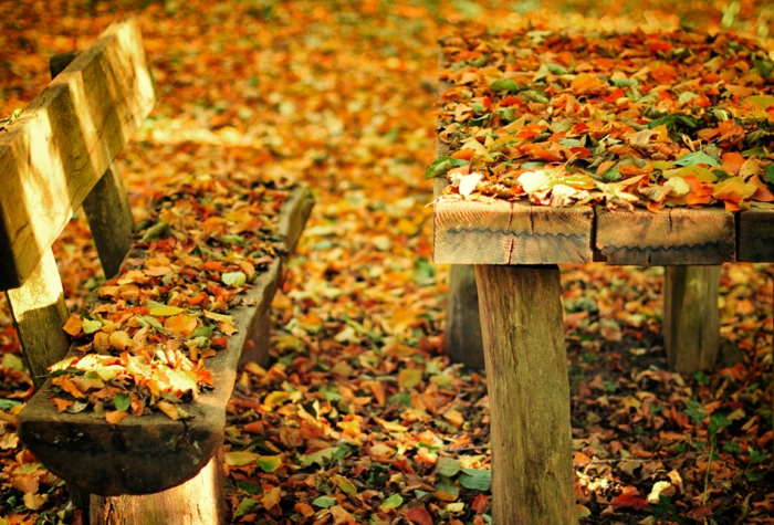 paisajes otoñales, banco y mesa de troncos de madera llenos de hojas de diferentes colores otoñales