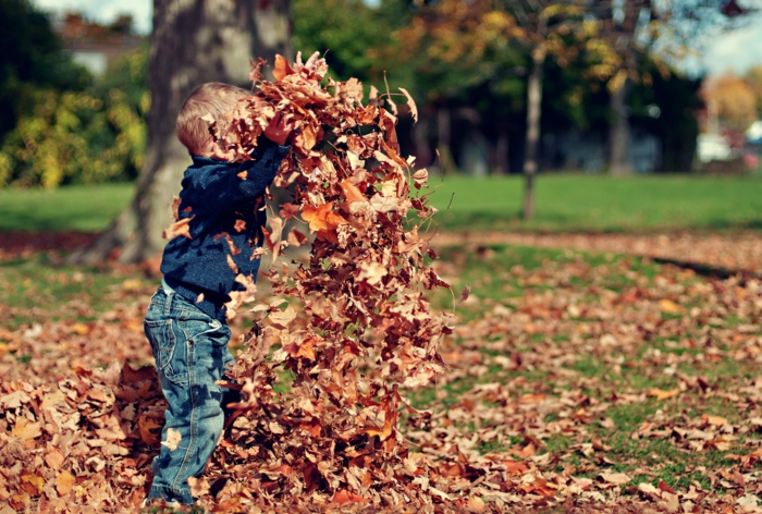 paisajes otoñales, niño jugandi en el parque con las hojas otoñales, tirandolas en el suelo, bonito