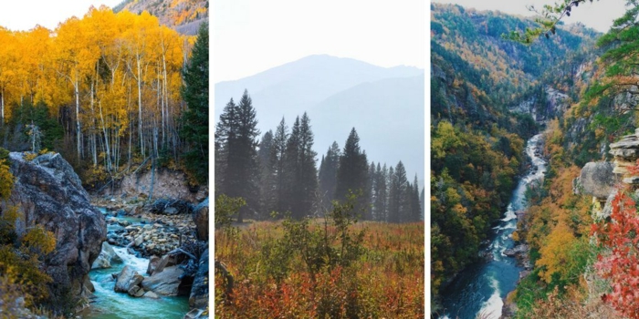 paisajes otoñales, tres fotos de paisajes de fotos hechas en otoño, collage colorido