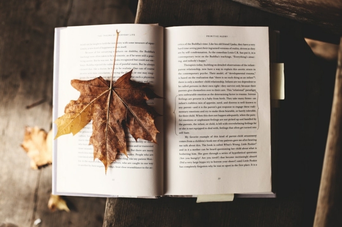 paisajes preciosos, libro con una hoja de otoño encima de el, hoja de color amarillo arrugada