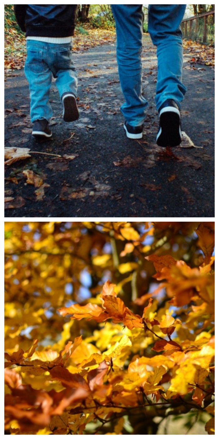paisajes de otoño con padre e hijo andando en la carretera, hojas de otoño en el arbol