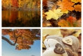 ¡Paisajes de otoño en más de 100 imagenes de ensueño!