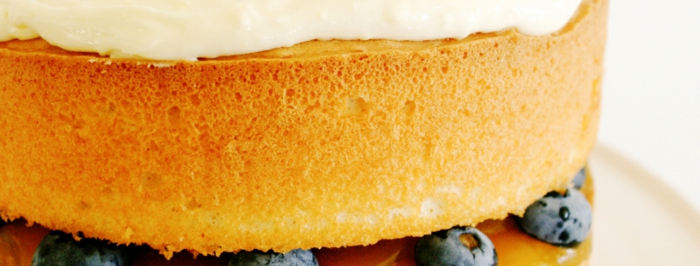 tarta esponjosa con mesa de bizcocho, arándanos y crema mascarpone casera, como se hace un bizcocho