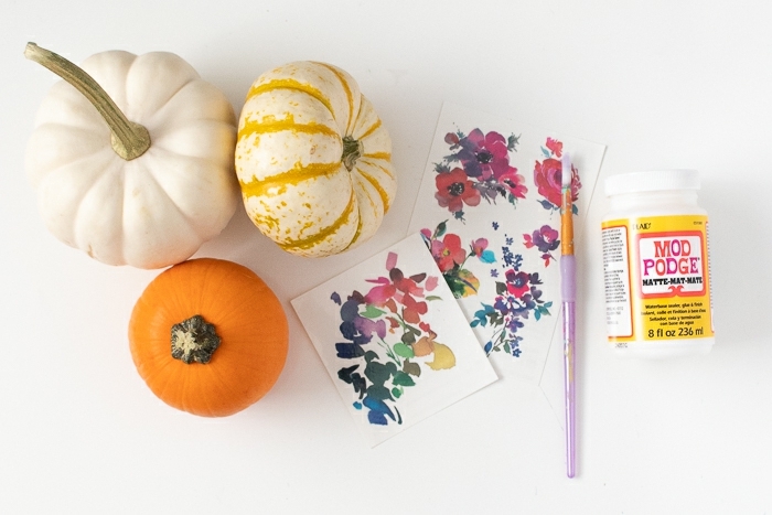 materiales necesarios para decorar unas calabazas con pegatinas con flores, calabazas decoradas DIY 