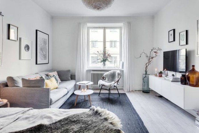 como decorar un piso pequeño en estilo escandinavo, sofá en gris, alfombra en gris oscuro, paredes con cuadros