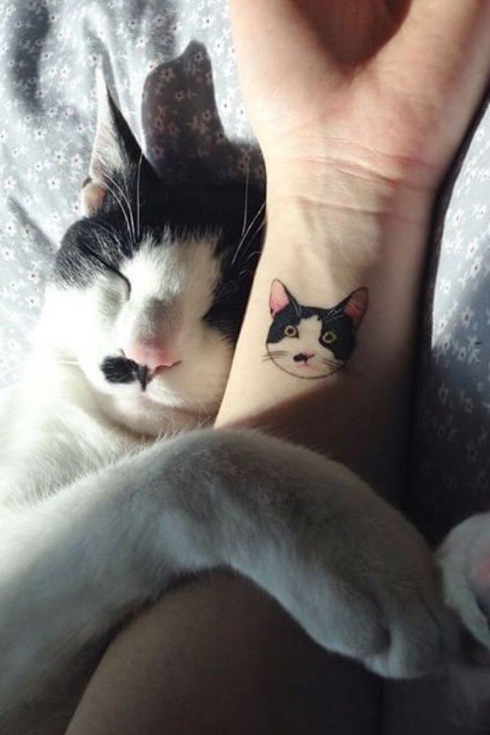 diseños de tatuajes pequeños y bonitos, ideas de tatuajes simbólicos y muy especiales, tattoo de gato 