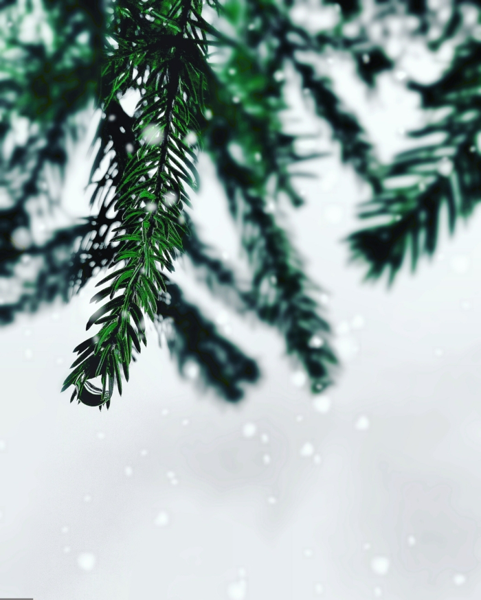 paisajes navideños estupendos, árbol de pino en la nieve, postales de navidad originales 