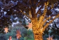 Decoración sostenible en Navidad con luces led
