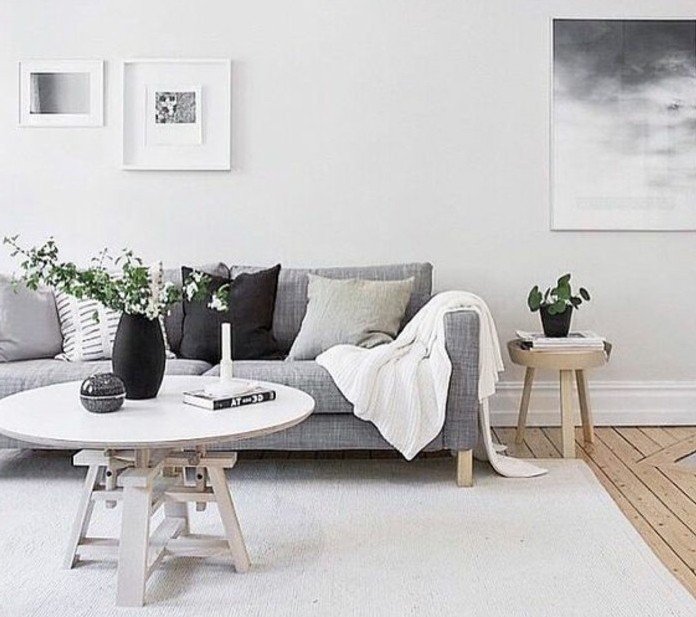 salon gris y blanco dcorado en estilo minimalista, decoración en las paredes y plantas 
