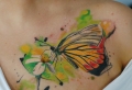 80 ideas de tatuajes de mariposas y su significado