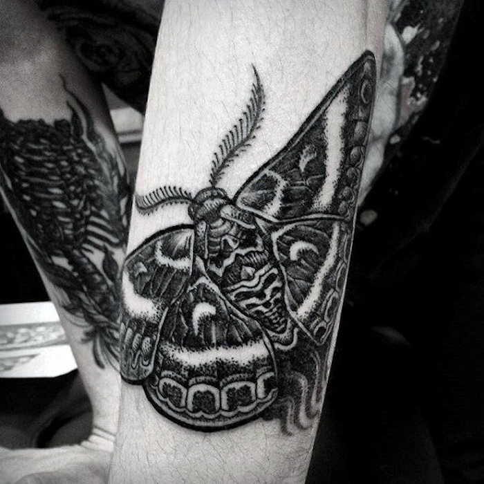 los diseños mas originales de tatuajes de animales, tatttoos con insectos en estilo realista, tatuajes de animales con significado 