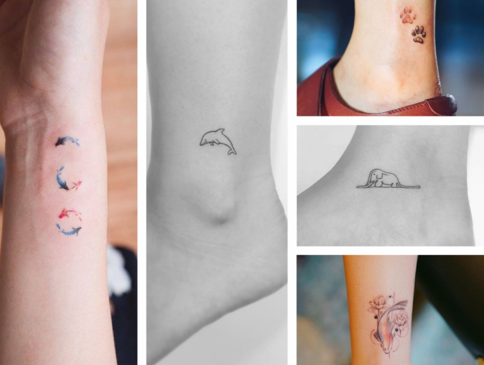 cinco preciosos diseños de tatuajes pequeños mujer, tatuajes pequeños en colores, peces en círculos, diseños con aniamales 