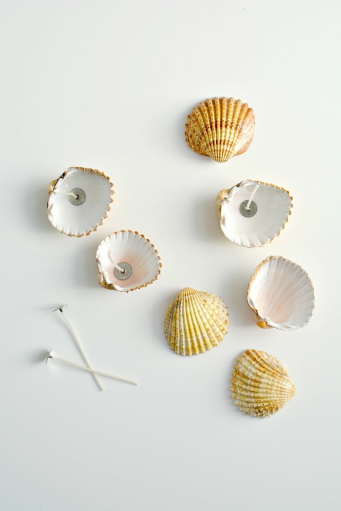 como hacer manualidades con materiales naturales, proyectos DIY bonitos con conchas para decorar el hogar paso a paso 