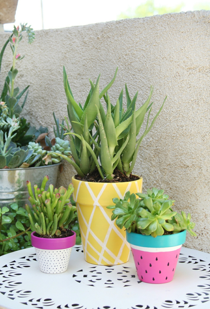 macetas con suculentas pintadas en colores llamativos, macetas con cactus, decoracion macetas en rosado, blanco, amarillo