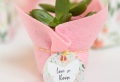 Sorprende a tus amigos con estas magníficas ideas de regalos para invitados de boda