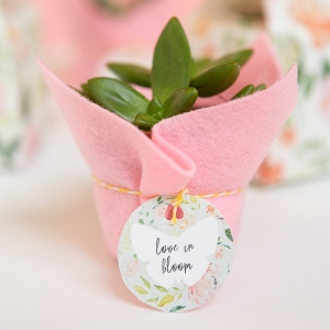 Sorprende a tus amigos con estas magníficas ideas de regalos para invitados de boda
