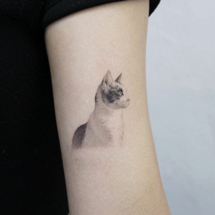 diseños de tatuajes originales de mascotas, tatuajes discretos en el brazo, ideas de tatuajes de gatos originales y bonitos 