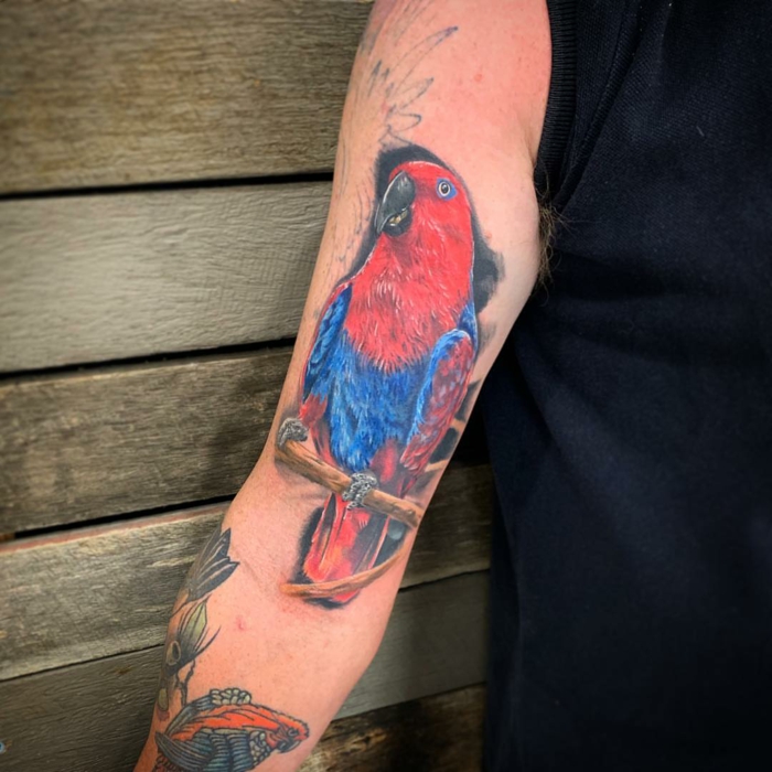 tatuajes brazo hombre de mascotas, tatuaje de loro Eclectus en bonitos colores, adorables diseños de tattoos de animales
