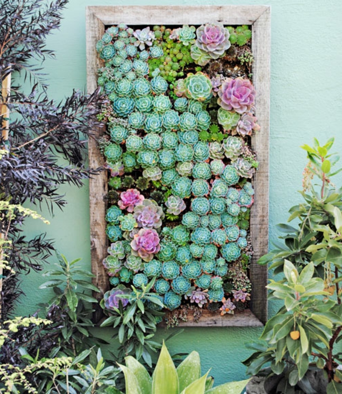 originales ideas sobre como armar un jardin vertical en el patio, marco de madera en la pared con plantas suculentas 