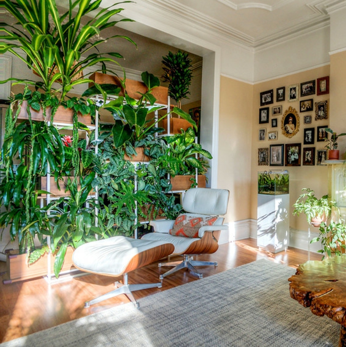 bonito salón decorado en estilo en estilo vintage, decoracion plantas verdes en macetas, ideas de jardin vertical en fotos 